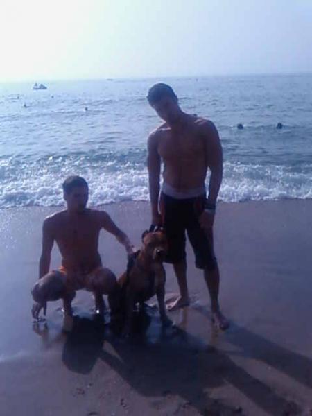    you you et hitler et walid